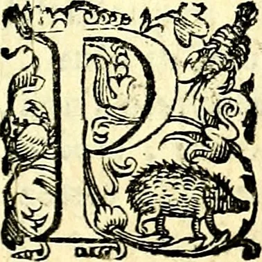 An illustration from Imprese illustri di diuersi, coi discorsi di Camillo Camilli, et con le figure intagliate in rame di Girolamo Porro Padouano .., 1586, leaf 80