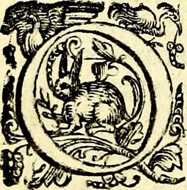 An illustration from Imprese illustri di diuersi, coi discorsi di Camillo Camilli, et con le figure intagliate in rame di Girolamo Porro Padouano .., 1586, leaf 89