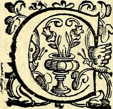 An illustration from Imprese illustri di diuersi, coi discorsi di Camillo Camilli, et con le figure intagliate in rame di Girolamo Porro Padouano .., 1586, leaf 95