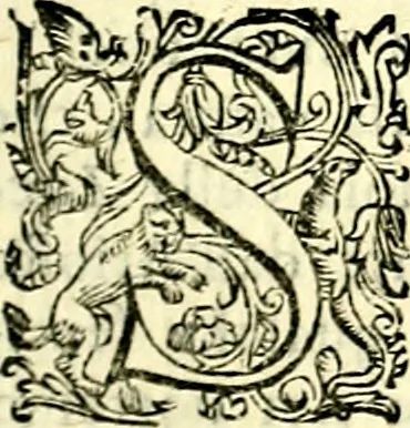 An illustration from Imprese illustri di diuersi, coi discorsi di Camillo Camilli, et con le figure intagliate in rame di Girolamo Porro Padouano .., 1586, leaf 102