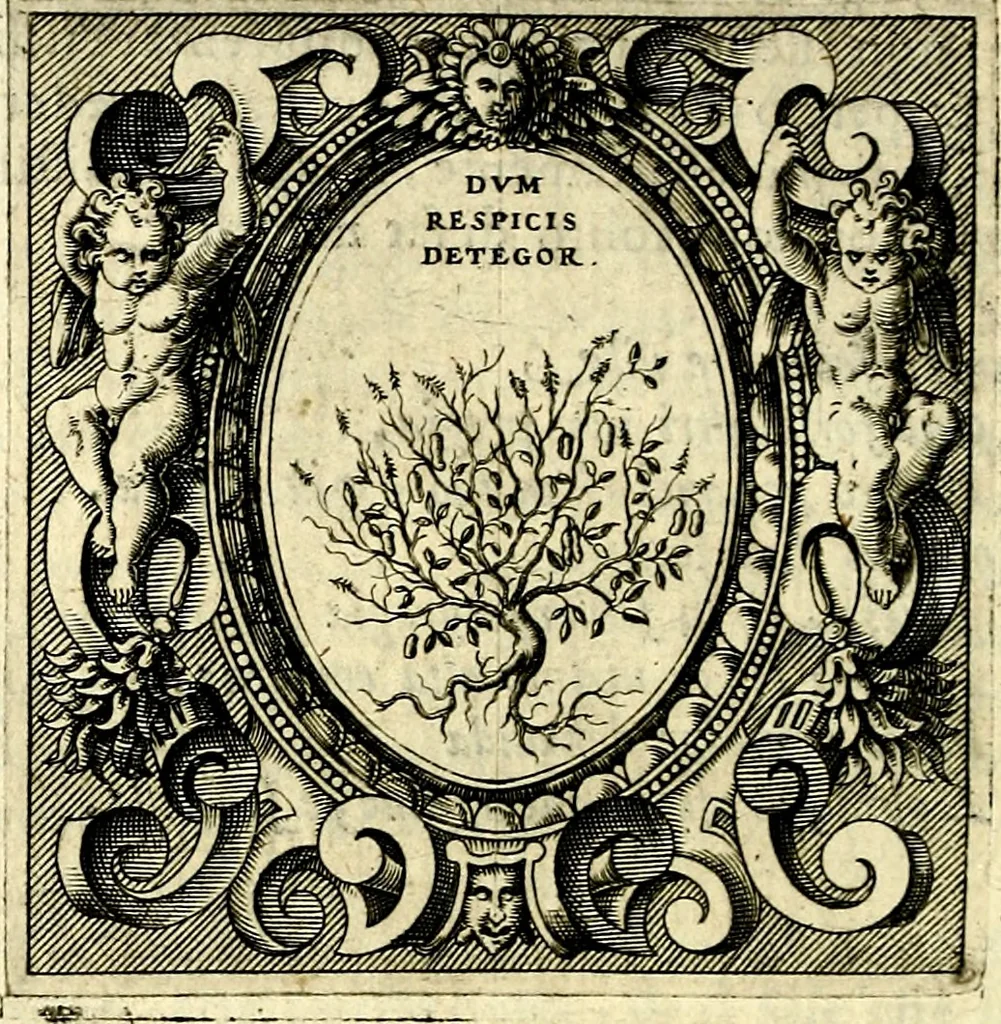 An illustration from Imprese illustri di diuersi, coi discorsi di Camillo Camilli, et con le figure intagliate in rame di Girolamo Porro Padouano .., 1586, leaf 111