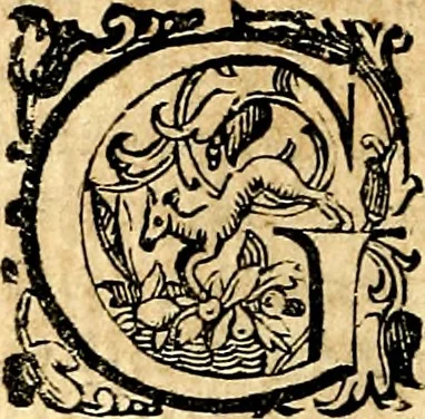 An illustration from Imprese illustri di diuersi, coi discorsi di Camillo Camilli, et con le figure intagliate in rame di Girolamo Porro Padouano .., 1586, leaf 117