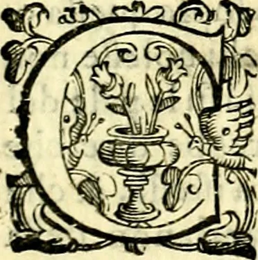An illustration from Imprese illustri di diuersi, coi discorsi di Camillo Camilli, et con le figure intagliate in rame di Girolamo Porro Padouano .., 1586, leaf 126