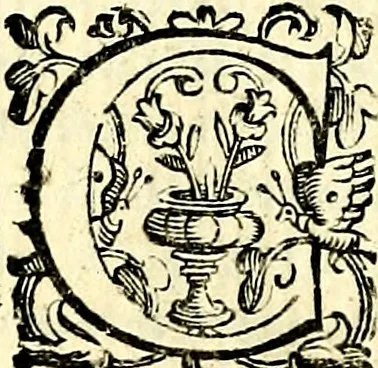 An illustration from Imprese illustri di diuersi, coi discorsi di Camillo Camilli, et con le figure intagliate in rame di Girolamo Porro Padouano .., 1586, leaf 135