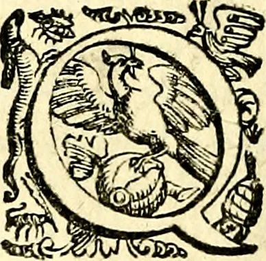 An illustration from Imprese illustri di diuersi, coi discorsi di Camillo Camilli, et con le figure intagliate in rame di Girolamo Porro Padouano .., 1586, leaf 15