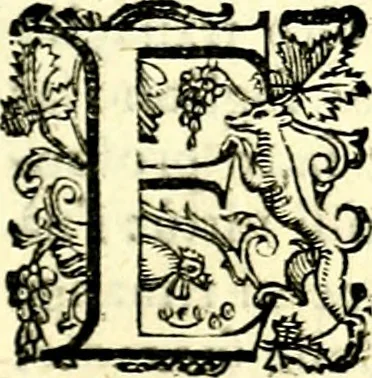An illustration from Imprese illustri di diuersi, coi discorsi di Camillo Camilli, et con le figure intagliate in rame di Girolamo Porro Padouano .., 1586, leaf 150