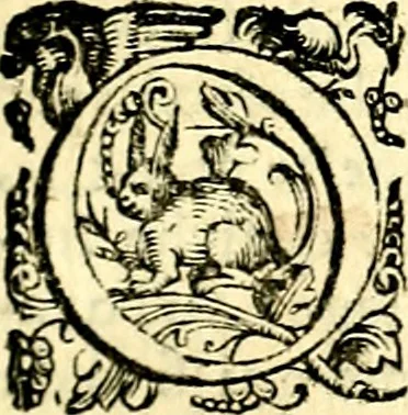 An illustration from Imprese illustri di diuersi, coi discorsi di Camillo Camilli, et con le figure intagliate in rame di Girolamo Porro Padouano .., 1586, leaf 18