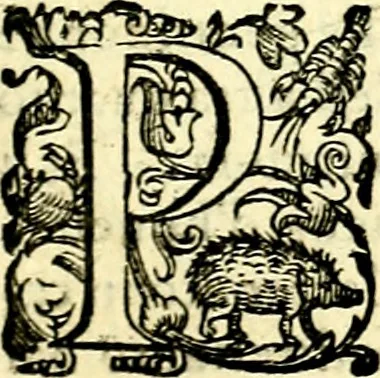 An illustration from Imprese illustri di diuersi, coi discorsi di Camillo Camilli, et con le figure intagliate in rame di Girolamo Porro Padouano .., 1586, leaf 188