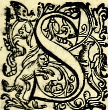 An illustration from Imprese illustri di diuersi, coi discorsi di Camillo Camilli, et con le figure intagliate in rame di Girolamo Porro Padouano .., 1586, leaf 198
