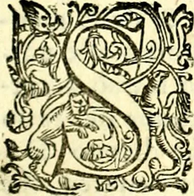 An illustration from Imprese illustri di diuersi, coi discorsi di Camillo Camilli, et con le figure intagliate in rame di Girolamo Porro Padouano .., 1586, leaf 204