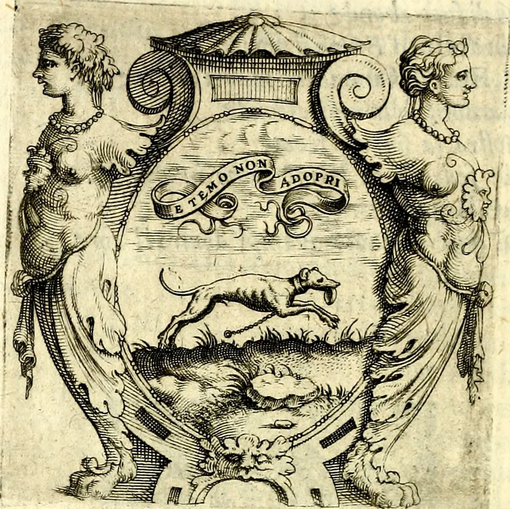 An illustration from Imprese illustri di diuersi, coi discorsi di Camillo Camilli, et con le figure intagliate in rame di Girolamo Porro Padouano .., 1586, leaf 207