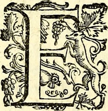 An illustration from Imprese illustri di diuersi, coi discorsi di Camillo Camilli, et con le figure intagliate in rame di Girolamo Porro Padouano .., 1586, leaf 207
