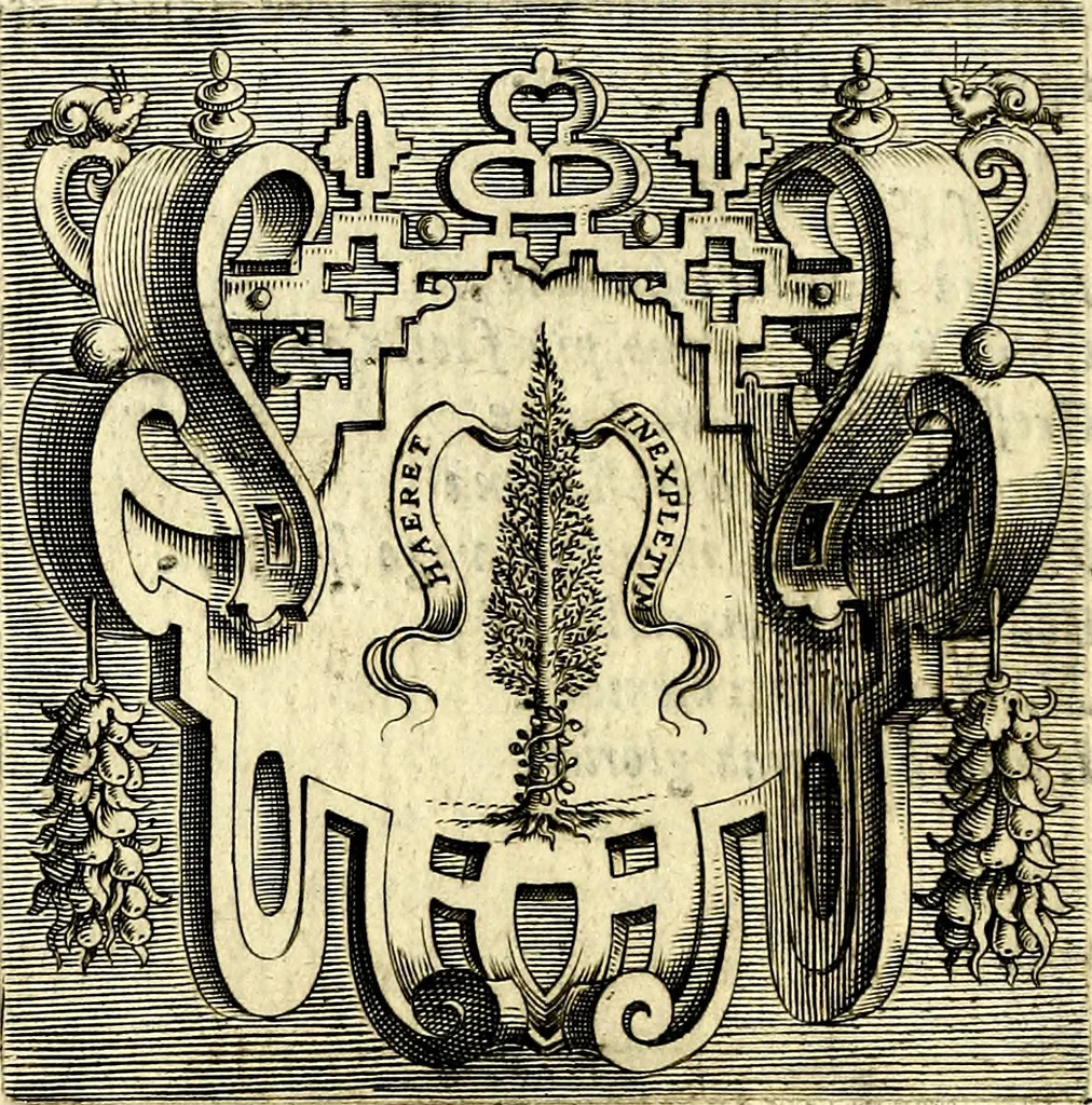 An illustration from Imprese illustri di diuersi, coi discorsi di Camillo Camilli, et con le figure intagliate in rame di Girolamo Porro Padouano .., 1586, leaf 21