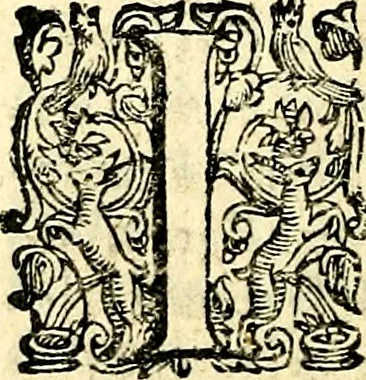 An illustration from Imprese illustri di diuersi, coi discorsi di Camillo Camilli, et con le figure intagliate in rame di Girolamo Porro Padouano .., 1586, leaf 213