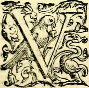 An illustration from Imprese illustri di diuersi, coi discorsi di Camillo Camilli, et con le figure intagliate in rame di Girolamo Porro Padouano .., 1586, leaf 216