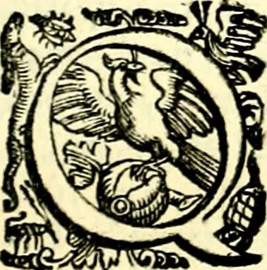 An illustration from Imprese illustri di diuersi, coi discorsi di Camillo Camilli, et con le figure intagliate in rame di Girolamo Porro Padouano .., 1586, leaf 234