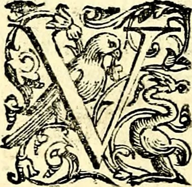 An illustration from Imprese illustri di diuersi, coi discorsi di Camillo Camilli, et con le figure intagliate in rame di Girolamo Porro Padouano .., 1586, leaf 237