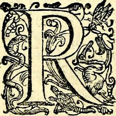 An illustration from Imprese illustri di diuersi, coi discorsi di Camillo Camilli, et con le figure intagliate in rame di Girolamo Porro Padouano .., 1586, leaf 249