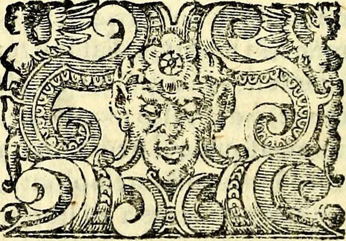 An illustration from Imprese illustri di diuersi, coi discorsi di Camillo Camilli, et con le figure intagliate in rame di Girolamo Porro Padouano .., 1586, leaf 269