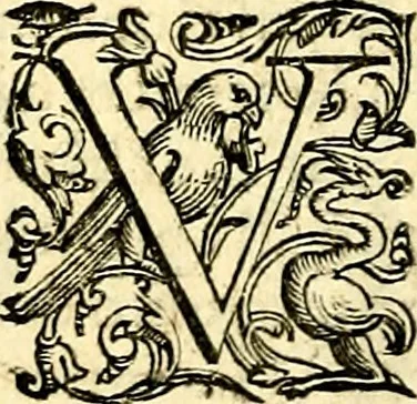 An illustration from Imprese illustri di diuersi, coi discorsi di Camillo Camilli, et con le figure intagliate in rame di Girolamo Porro Padouano .., 1586, leaf 27