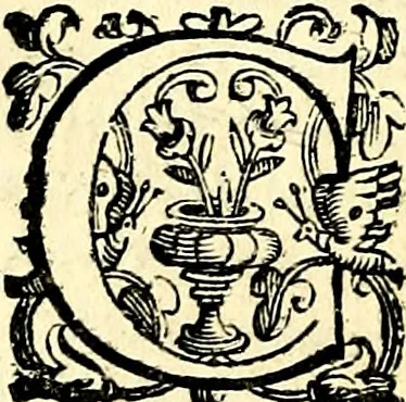 An illustration from Imprese illustri di diuersi, coi discorsi di Camillo Camilli, et con le figure intagliate in rame di Girolamo Porro Padouano .., 1586, leaf 279