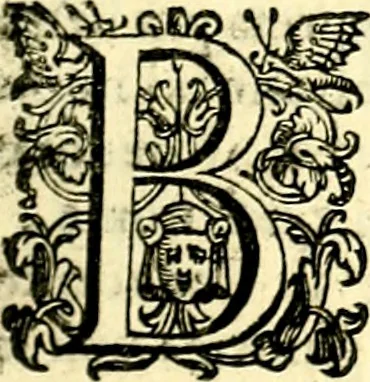 An illustration from Imprese illustri di diuersi, coi discorsi di Camillo Camilli, et con le figure intagliate in rame di Girolamo Porro Padouano .., 1586, leaf 292