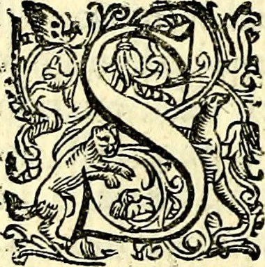 An illustration from Imprese illustri di diuersi, coi discorsi di Camillo Camilli, et con le figure intagliate in rame di Girolamo Porro Padouano .., 1586, leaf 301