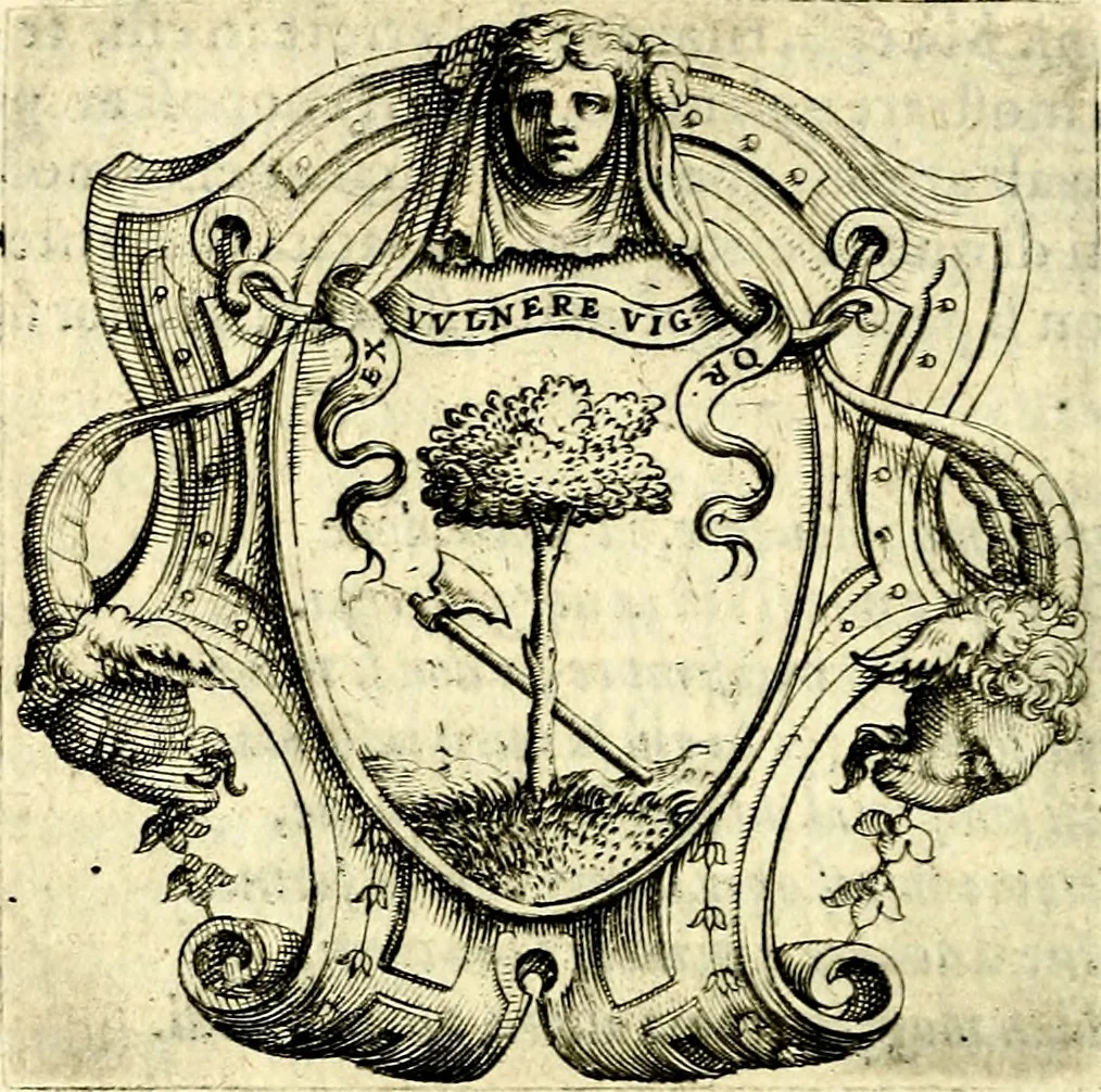 An illustration from Imprese illustri di diuersi, coi discorsi di Camillo Camilli, et con le figure intagliate in rame di Girolamo Porro Padouano .., 1586, leaf 313