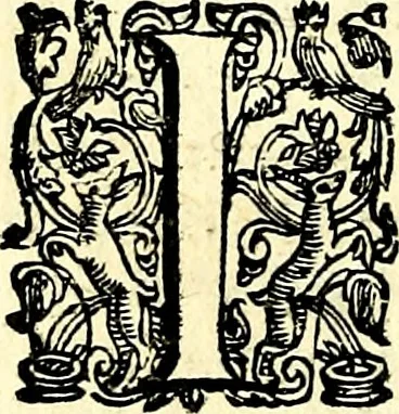 An illustration from Imprese illustri di diuersi, coi discorsi di Camillo Camilli, et con le figure intagliate in rame di Girolamo Porro Padouano .., 1586, leaf 325