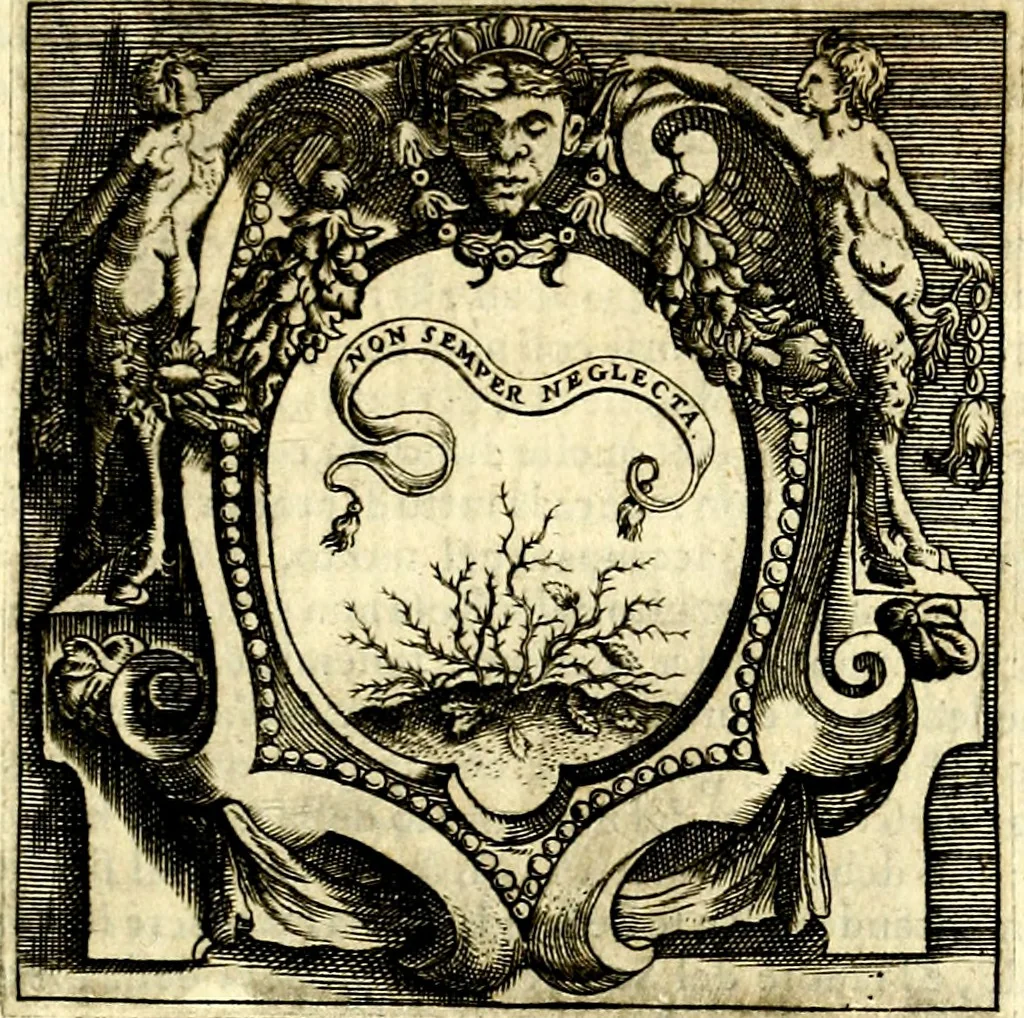 An illustration from Imprese illustri di diuersi, coi discorsi di Camillo Camilli, et con le figure intagliate in rame di Girolamo Porro Padouano .., 1586, leaf 344