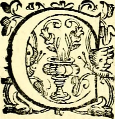 An illustration from Imprese illustri di diuersi, coi discorsi di Camillo Camilli, et con le figure intagliate in rame di Girolamo Porro Padouano .., 1586, leaf 344