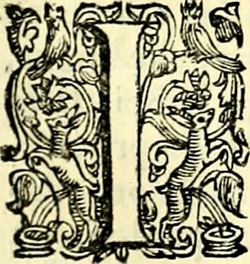 An illustration from Imprese illustri di diuersi, coi discorsi di Camillo Camilli, et con le figure intagliate in rame di Girolamo Porro Padouano .., 1586, leaf 36