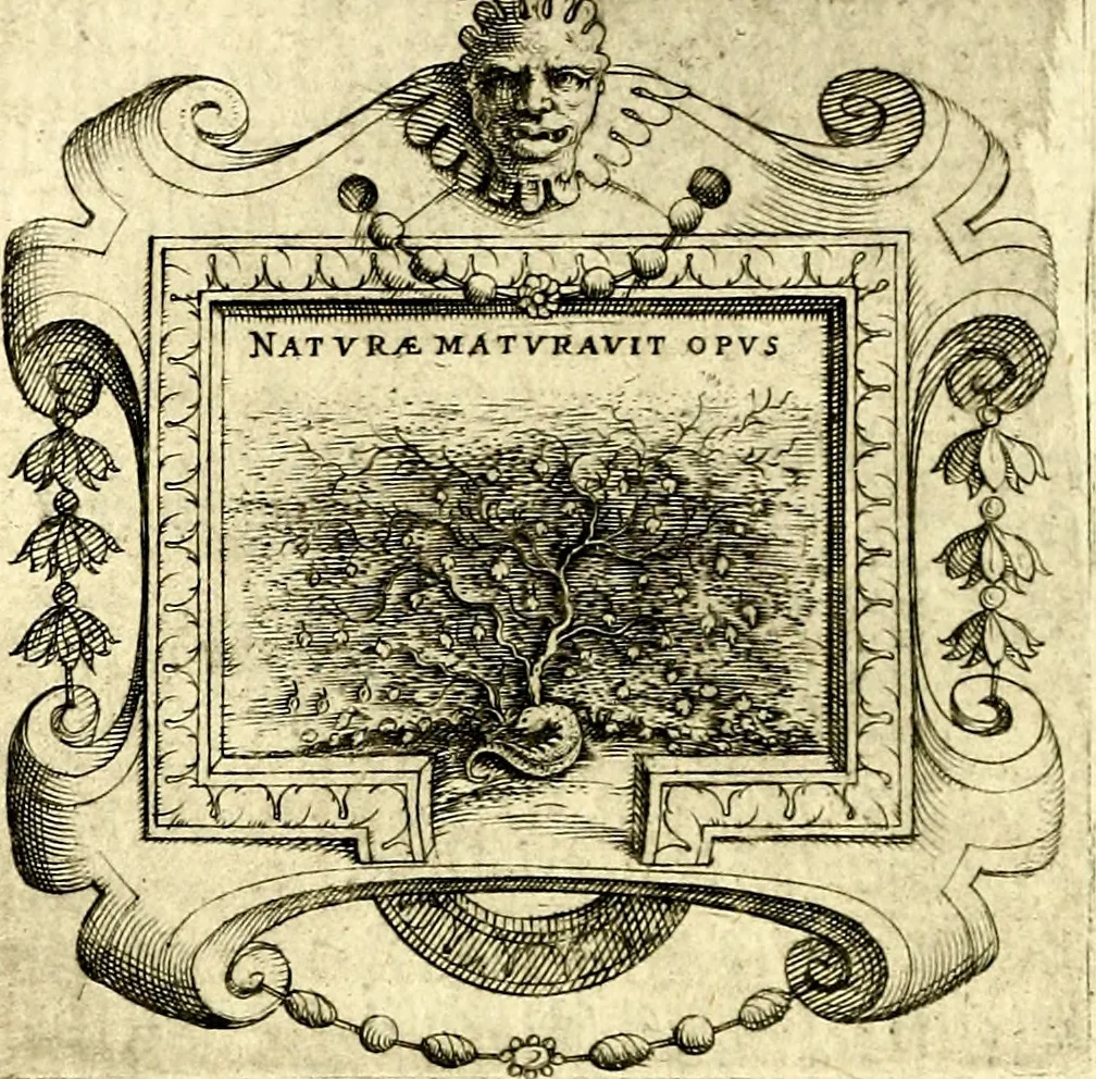 An illustration from Imprese illustri di diuersi, coi discorsi di Camillo Camilli, et con le figure intagliate in rame di Girolamo Porro Padouano .., 1586, leaf 45