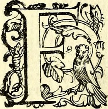 An illustration from Imprese illustri di diuersi, coi discorsi di Camillo Camilli, et con le figure intagliate in rame di Girolamo Porro Padouano .., 1586, leaf 51