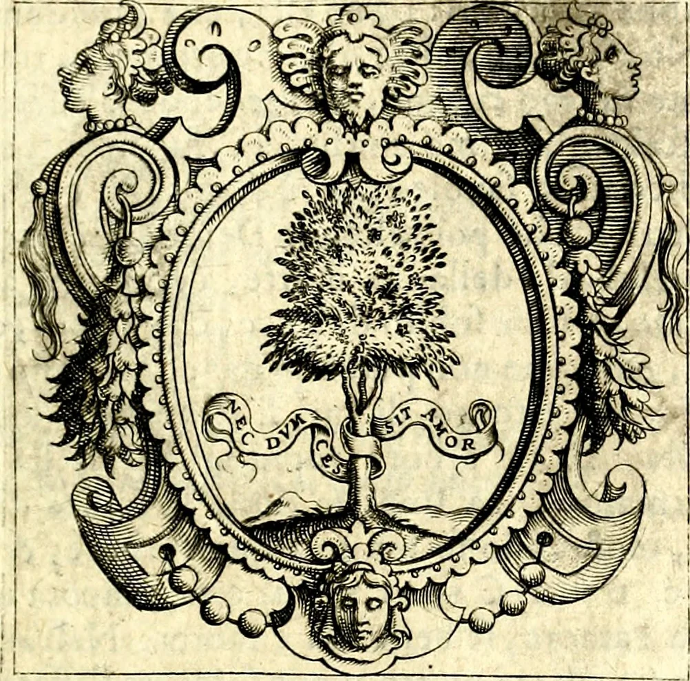 An illustration from Imprese illustri di diuersi, coi discorsi di Camillo Camilli, et con le figure intagliate in rame di Girolamo Porro Padouano .., 1586, leaf 54