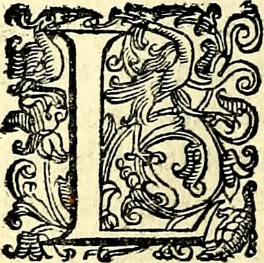 An illustration from Imprese illustri di diuersi, coi discorsi di Camillo Camilli, et con le figure intagliate in rame di Girolamo Porro Padouano .., 1586, leaf 63