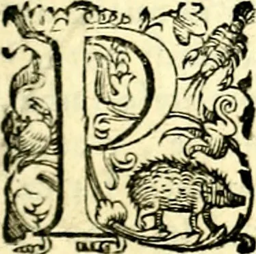 An illustration from Imprese illustri di diuersi, coi discorsi di Camillo Camilli, et con le figure intagliate in rame di Girolamo Porro Padouano .., 1586, leaf 78