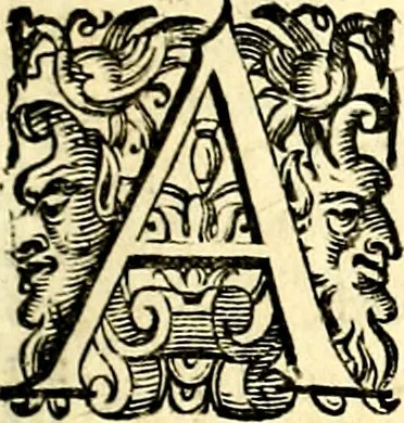 An illustration from Imprese illustri di diuersi, coi discorsi di Camillo Camilli, et con le figure intagliate in rame di Girolamo Porro Padouano .., 1586, leaf 8