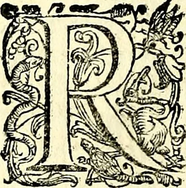 An illustration from Imprese illustri di diuersi, coi discorsi di Camillo Camilli, et con le figure intagliate in rame di Girolamo Porro Padouano .., 1586, leaf 81