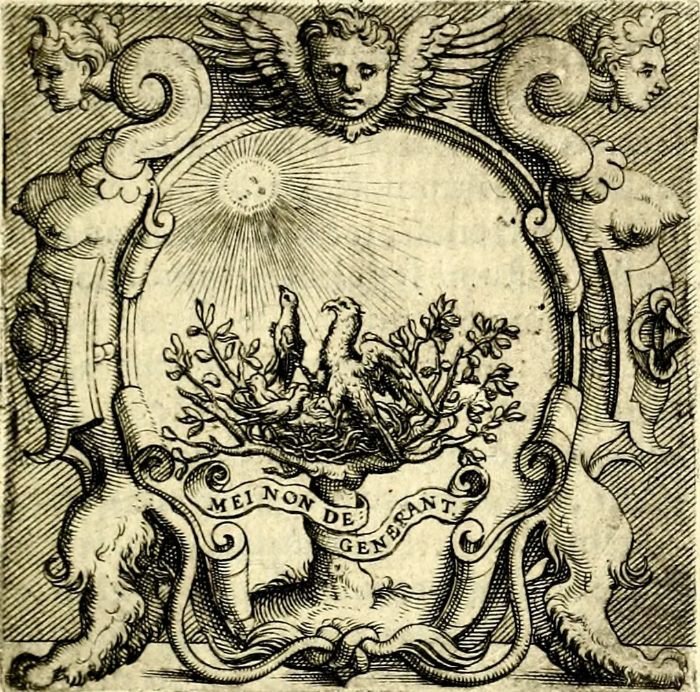 An illustration from Imprese illustri di diuersi, coi discorsi di Camillo Camilli, et con le figure intagliate in rame di Girolamo Porro Padouano .., 1586, leaf 84