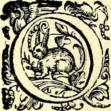 An illustration from Imprese illustri di diuersi, coi discorsi di Camillo Camilli, et con le figure intagliate in rame di Girolamo Porro Padouano .., 1586, leaf 87