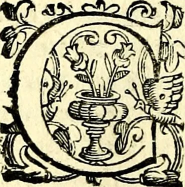 An illustration from Imprese illustri di diuersi, coi discorsi di Camillo Camilli, et con le figure intagliate in rame di Girolamo Porro Padouano .., 1586, leaf 93