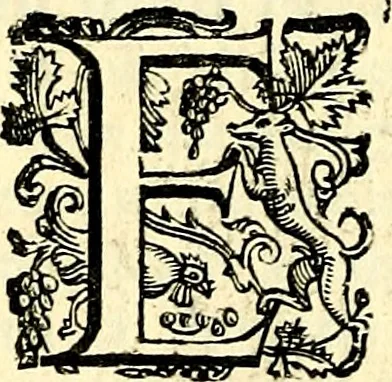 An illustration from Imprese illustri di diuersi, coi discorsi di Camillo Camilli, et con le figure intagliate in rame di Girolamo Porro Padouano .., 1586, leaf 105