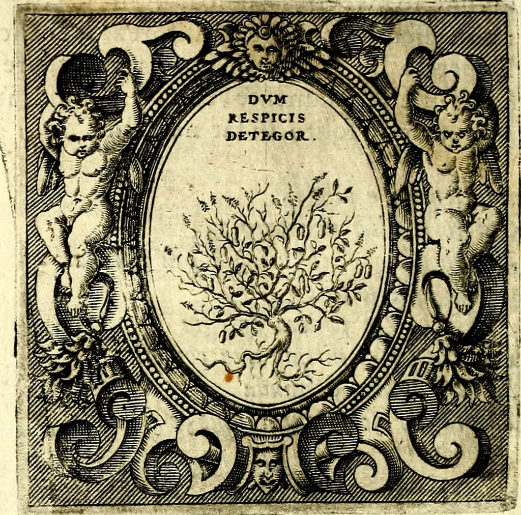 An illustration from Imprese illustri di diuersi, coi discorsi di Camillo Camilli, et con le figure intagliate in rame di Girolamo Porro Padouano .., 1586, leaf 111