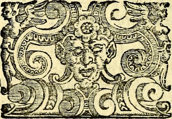 An illustration from Imprese illustri di diuersi, coi discorsi di Camillo Camilli, et con le figure intagliate in rame di Girolamo Porro Padouano .., 1586, leaf 125
