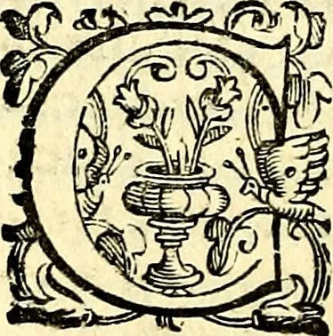An illustration from Imprese illustri di diuersi, coi discorsi di Camillo Camilli, et con le figure intagliate in rame di Girolamo Porro Padouano .., 1586, leaf 135