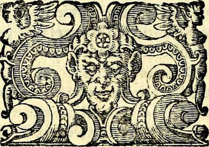 An illustration from Imprese illustri di diuersi, coi discorsi di Camillo Camilli, et con le figure intagliate in rame di Girolamo Porro Padouano .., 1586, leaf 149