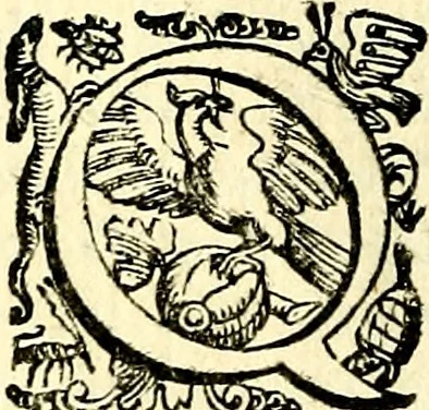 An illustration from Imprese illustri di diuersi, coi discorsi di Camillo Camilli, et con le figure intagliate in rame di Girolamo Porro Padouano .., 1586, leaf 15