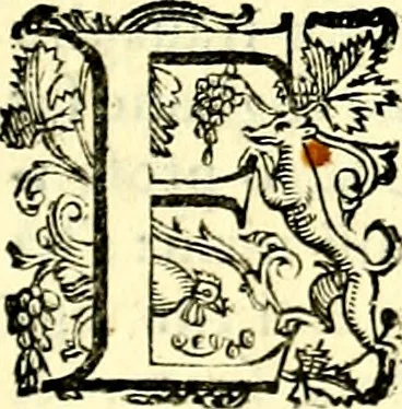 An illustration from Imprese illustri di diuersi, coi discorsi di Camillo Camilli, et con le figure intagliate in rame di Girolamo Porro Padouano .., 1586, leaf 150