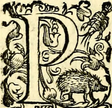 An illustration from Imprese illustri di diuersi, coi discorsi di Camillo Camilli, et con le figure intagliate in rame di Girolamo Porro Padouano .., 1586, leaf 161
